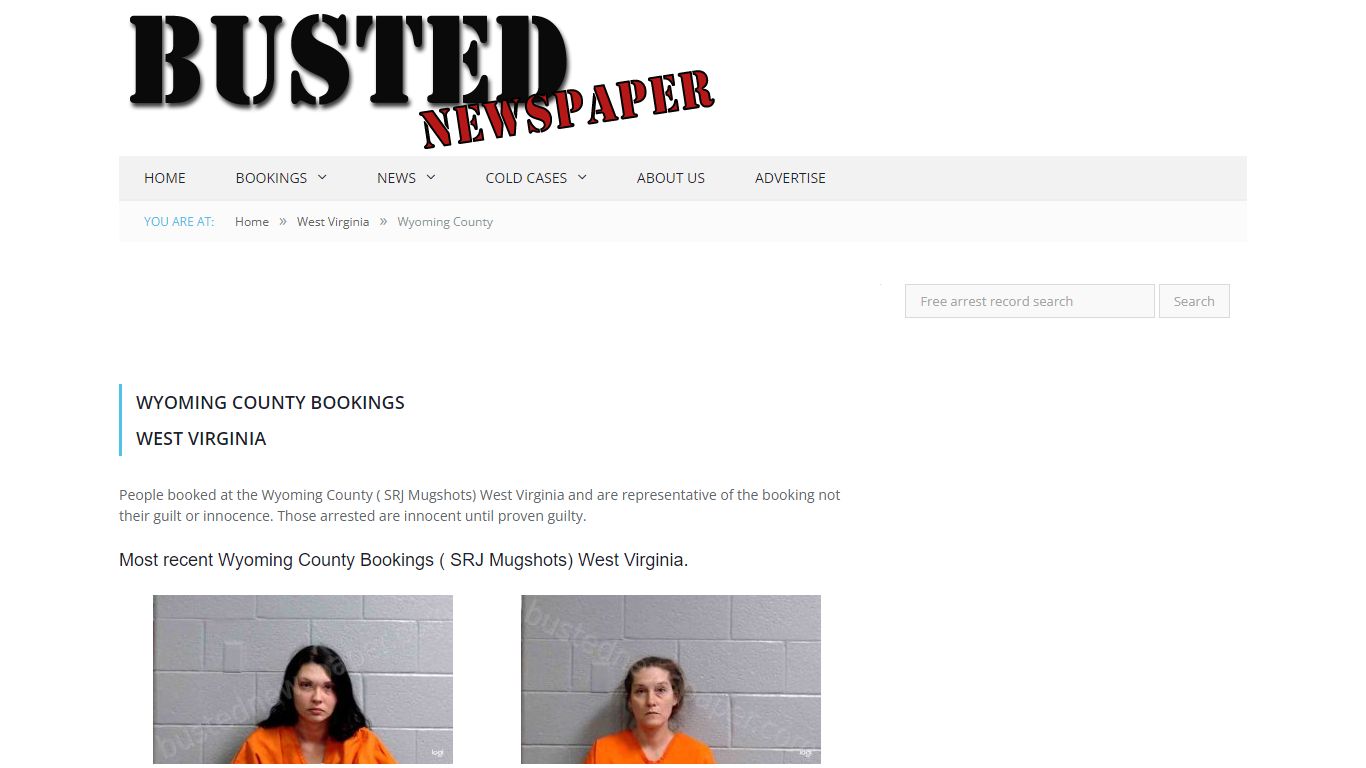 Wyoming County, WV ( SRJ WV ) Mugshots - BUSTEDNEWSPAPER.COM